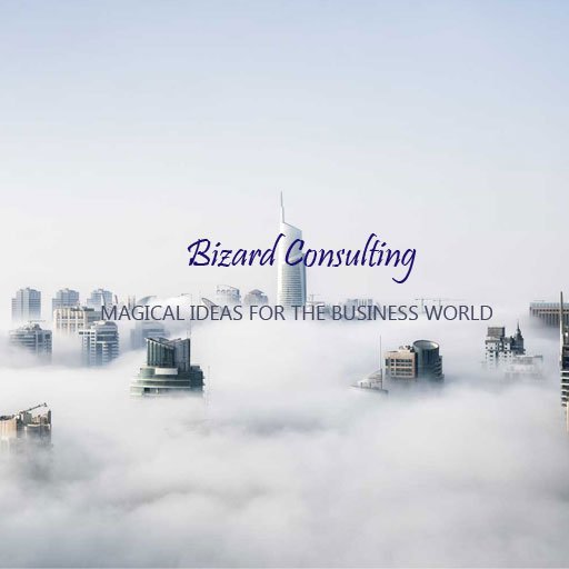 Bizard Consulting